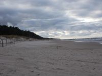 DSCN5452.JPG   Sturm