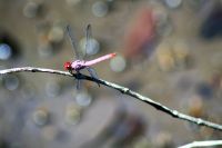 5. Tag - 18.10.21.JPG