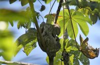 5. Tag - 18.10.21.JPG