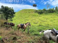 6. Tag - 19.10.21.jpg