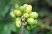 7. Tag - 20.10.21.JPG