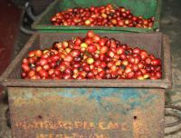 7. Tag - 20.10.21.JPG