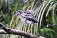 11. Tag - 24.10.21.JPG