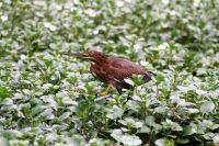 11. Tag - 24.10.21.JPG