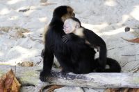 13. Tag - 26.10.21.JPG