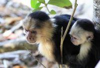 13. Tag - 26.10.21.JPG