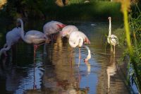 Mount Etjo Safari Lodge