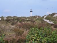 Dueodde Dünen Bornholm