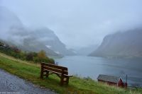 Urke im Norangsfjord, Nebenarm des Hjørundfjord (Herbstprogramm der Hurtigruten)