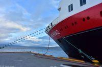 Hurtigruten - MS Kong Harald - Festgemacht in Trondheim