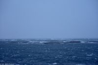 Der Wind frischt auf und steigert sich zum ersten Sturm bis Windstärke 9
