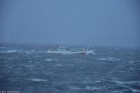 Der Wind frischt auf und steigert sich zum ersten Sturm bis Windstärke 9