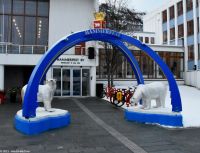 Hammerfest - die Stadt der Eisbären