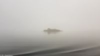 Munkholmen (Festungsinsel vor Trondheim) im morgendlichen Nebel