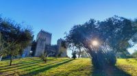 Singlereise Portugal - Burg in Guimaraes