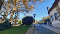 Singlereise Portugal - Park do Carmo in Guimaraes