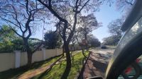Rundreise Südafrika - blühende Jacarandas in Pretoria