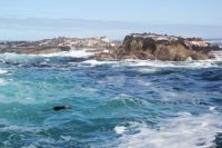 Rundreise Südafrika - Robbeninsel bei Hout Bay