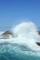 Rundreise Südafrika - Robbeninsel bei Hout Bay