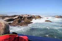Rundreise Südafrika - Robbeninsel bei Hout Bay
