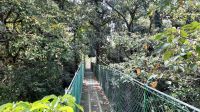 270 – Costa Rica, San Gerardo de Dota, Wanderung, Hängebrücke
