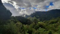 279 – Costa Rica, San Gerardo de Dota, Wanderung