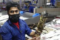 Fischmarkt Abu Dhabi