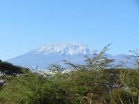 0804 Amboseli Nationalpark - Kibo Safari Camp - Blick zum Kilimandscharo