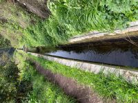 Entlang der Levada….