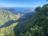 Grün und Blau, die dominierenden Farben