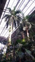 Atocha Bahnhof