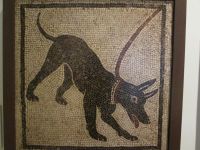 Neapel: Archäologisches Nationalmuseum: Mosaik 