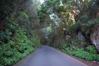 Teneriffa - Anaga-Gebirge (1)