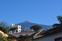 Teneriffa - Icod de los Vinos