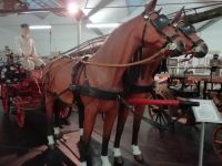 Heimatmuseum Traiskirchen