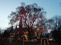 Wiener Christkindlmarkt 