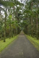 Park Terra Nostra