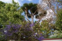 22 Kräutergarten von Esmeralda