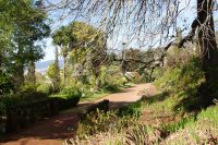 70 Palheiro Garden Dezember 2021