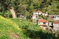 82 Levadawanderung am Neujahrstag