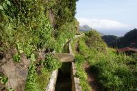 89 Levadawanderung am Neujahrstag