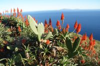 126 Blick vom Pico do Facho