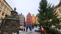 Silvesterreise Stockholm - Stortorget-Platz in der Altstadt Gamla Stan
