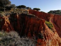 steil abfallendes, rotes Kliff charakterisiert die Praia da Falésia .jpg