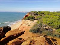 ein Teppich von duftenden Pinien lässt uns entzücken.jpg