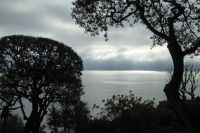 Tag 4 Besuch im Fürstentum Monaco 