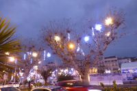 Tag 5 Silvesterreise , Cannes Weihnachtsbeleuchtung