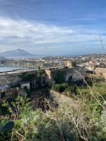 Blick über die Insel Procida