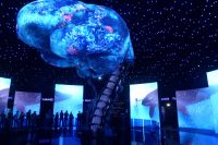 EXPO 2020 - im russischen Pavillon