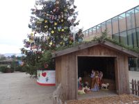  Meran Krippe 